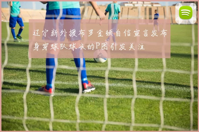 辽宁新外援布罗金顿自信宣言发布身穿球队球衣的P图引发关注