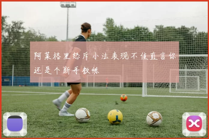 阿莱格里怒斥小法表现不佳直言你还是个新手教练