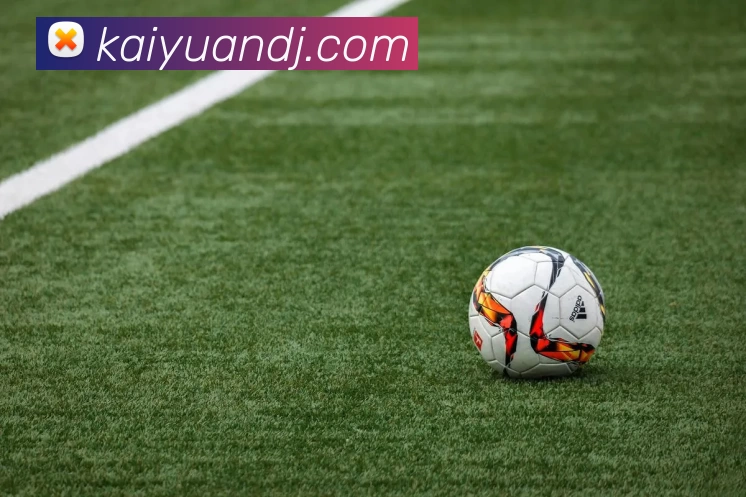 开元电竞平台生态图