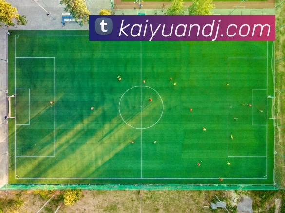 开元电竞APP 封面图